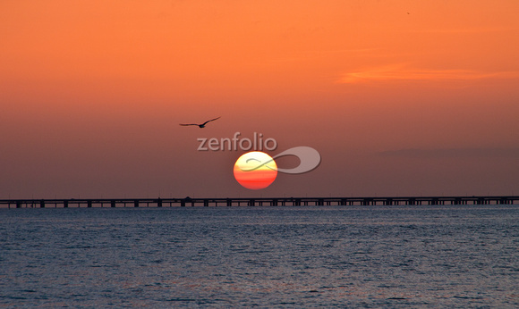 Gulf Coast Sunrise